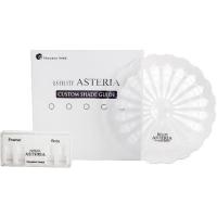 Шкала оттенков Estelite Asteria Custom Shade Guide