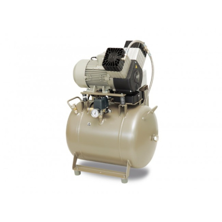 EKOM DK50 2V/50/M - безмасляный компрессор для 2-x стоматологических установок без кожуха, с осушителем, с ресивером 50 л